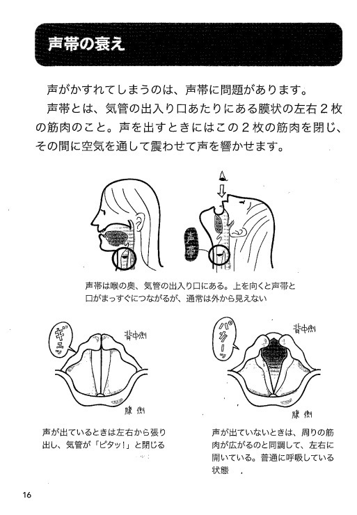 ボイトレ本声のアンチエイジング「大きな文字で読みやすい 声が20歳若返るトレーニング【動画対応版】」上野実咲著書ボイストレーニング東京上野ヴォーカルアカデミー